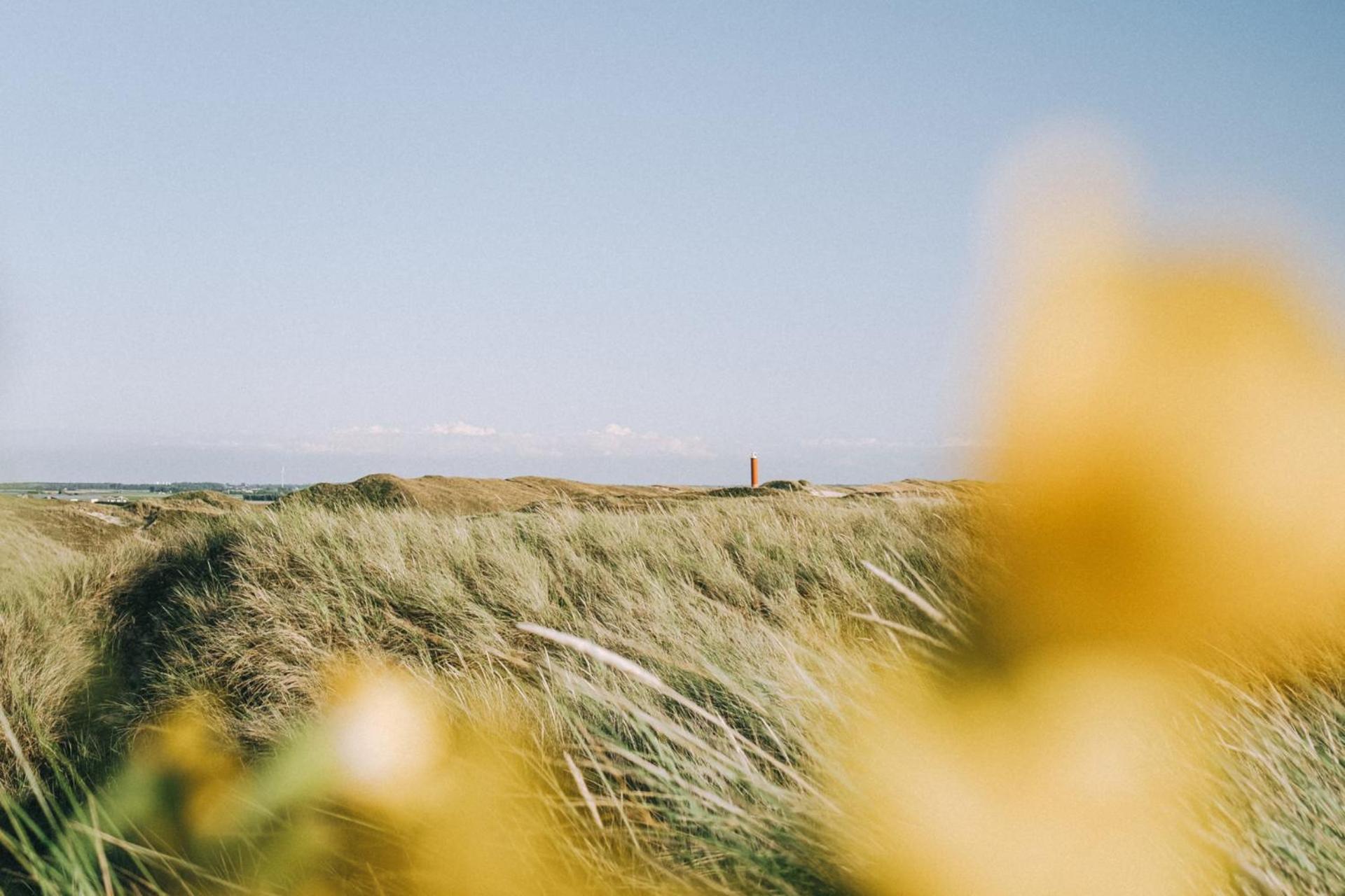 Vakantiehuis Nordseezauber - Callantsoog Aan Zee Exteriör bild